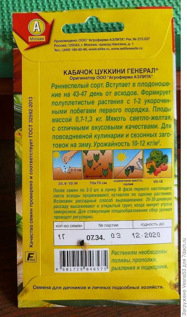 Кабачок цуккини Генерал, описание сорта.
