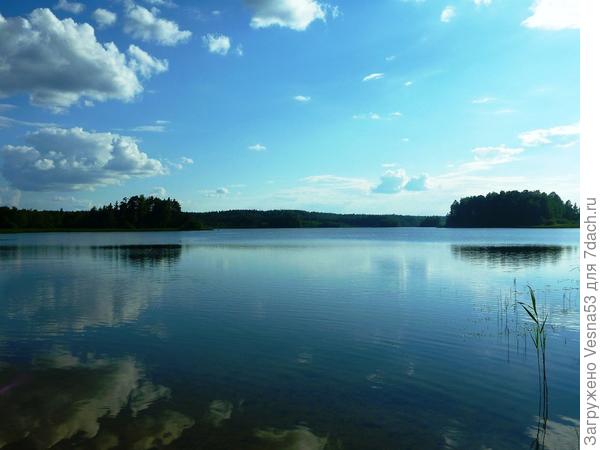 Июль, макушка лета