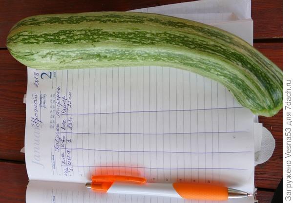 Рукописная таблица для фиксирования урожая.