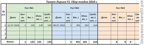 Таблица учета урожая томата Лирика F1, три куста, по состоянию на 12 июля.