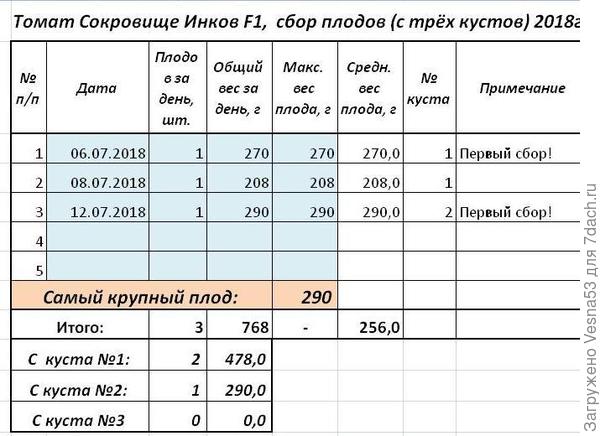 Учет урожая томата Сокровище Инков F1 по состоянию на 12 июля.