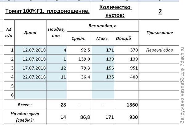 Учет плодоношения томата 100% F1 за первые две недели с 12 по 22 июля.