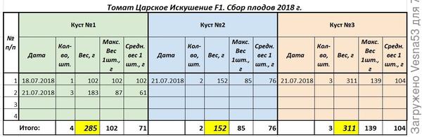 Учет сбора томатов Царское Искушение F1 по состоянию на 21 июля.
