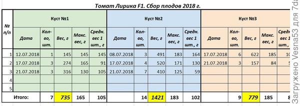 Учет урожая с кустов Лирики F1 по состоянию на 21 июля.