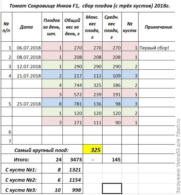 Сокровище Инков F1, учёт плодоношения на 25 июля.