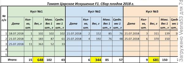 Царское Искушение F1. Учёт плодоношения по состоянию на 25 июля.