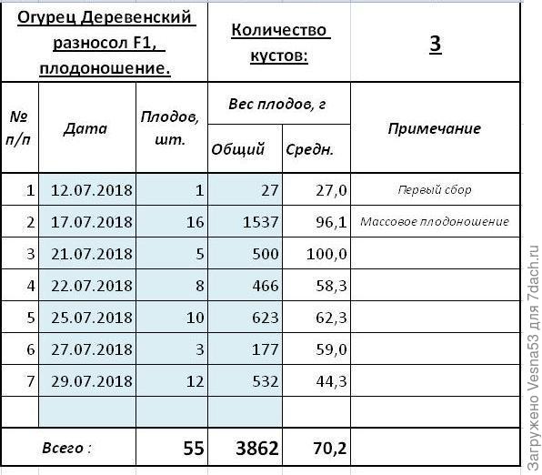 Учёт плодоношения по состоянию на 29 июля.