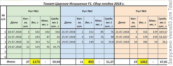 Учёт плодоношения томата Царское Искушение F1 по состоянию на 29 июля.
