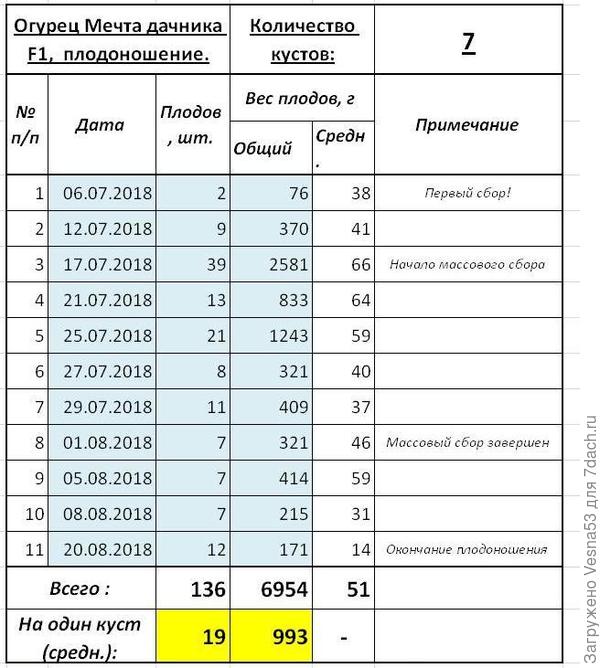 Огурец Мечта Дачника F1. Плодоношение, итог.