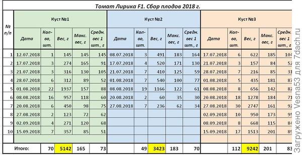 Учет плодоношения на 15 сентября.