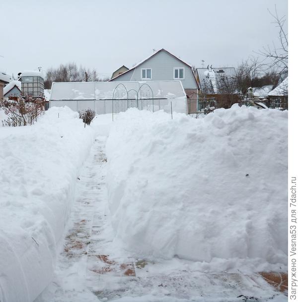 После расчистки снега 28 января 2019г