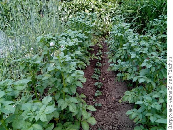 Моя Синеглазка :)