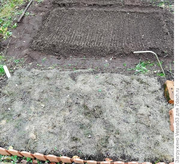 Подзимние посадки чеснока и лука, 27 октября.