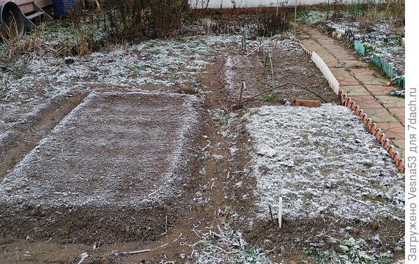 Грядки с подзимними посадками