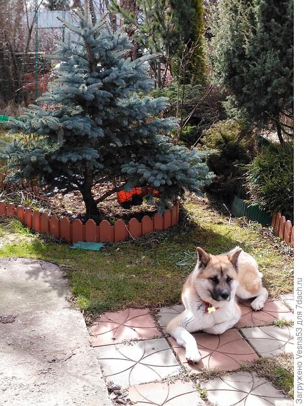 На солнышке тепло