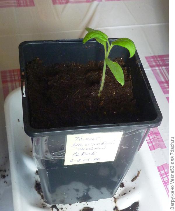 То же, после досыпки.