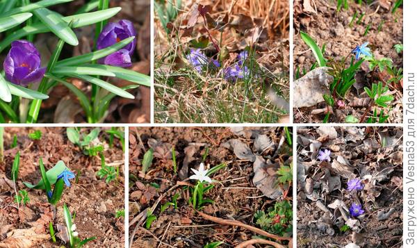 А завтра - мороз и снегопад