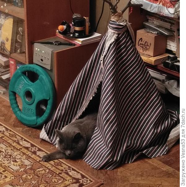 Самоизоляция в персональном шалаше