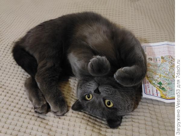 А вам слабо?