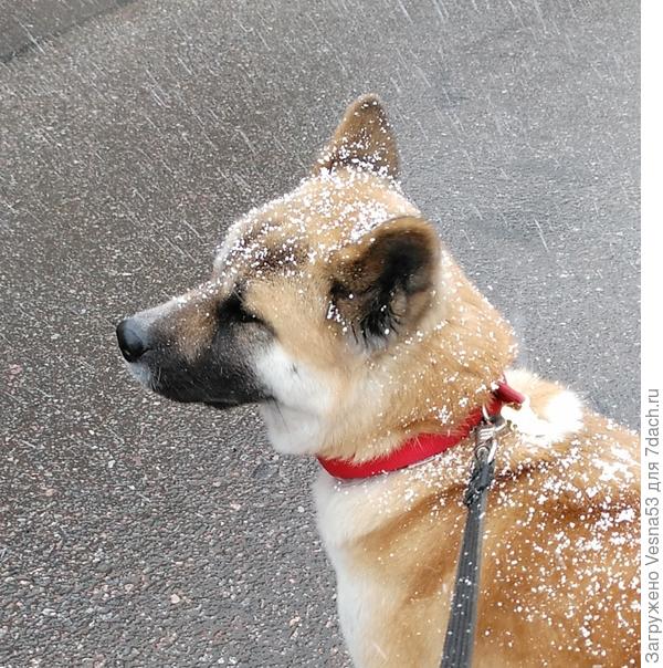 Это вчера, 18.04.20