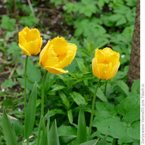 3-фото