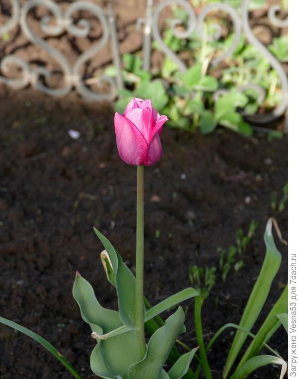 7-фото