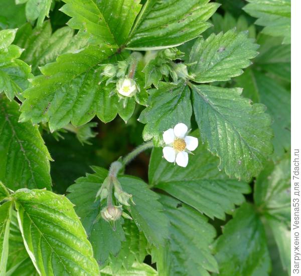 6-фото