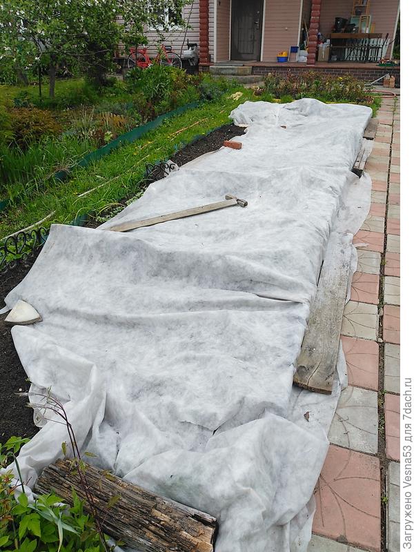 Здесь будут ягодки!