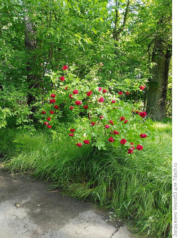 Название не знаю...