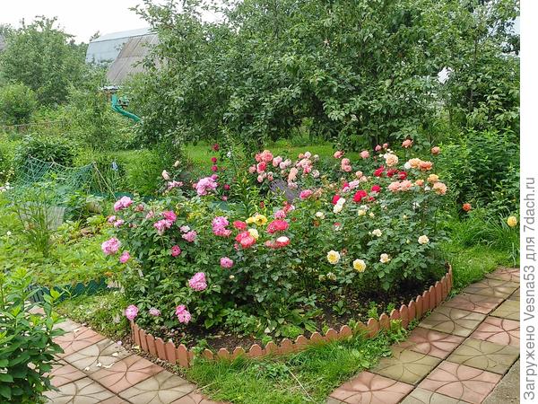 Ну не все, конечно, одна треть...