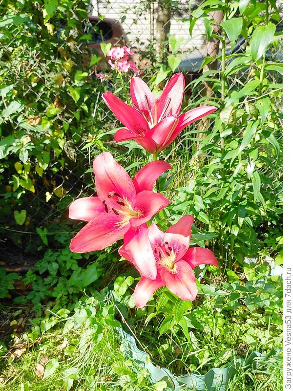 Табличку растворили дожди