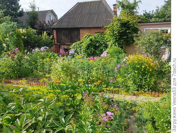 Цветы и огород