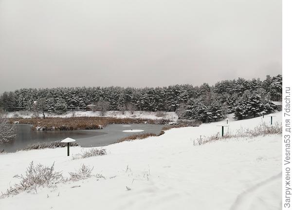 Тут был пляж