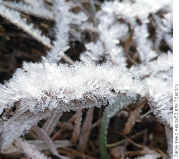 Ювелирная работа