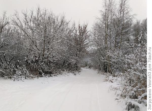 Дорога на дачу