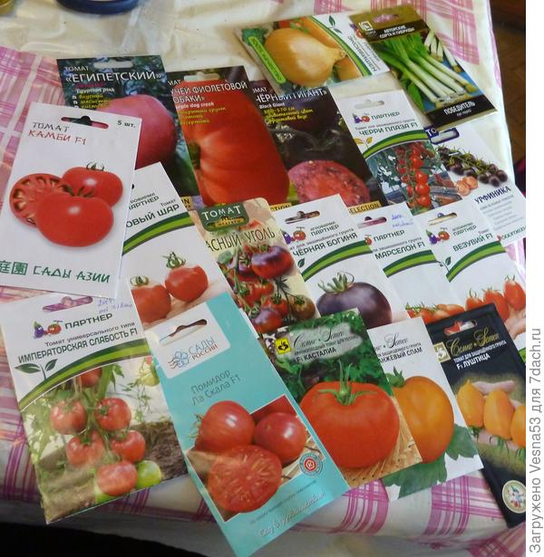 Планы на 7 марта