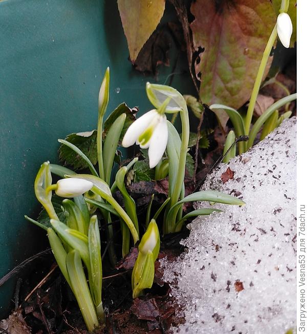 5 апреля 2021г.