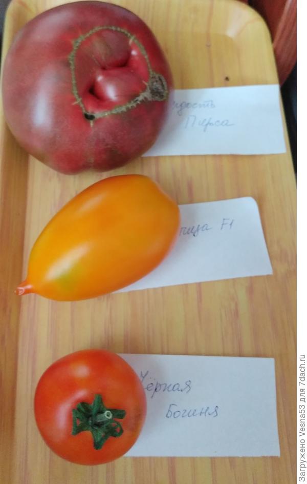 Отложены на пробу. Чтобы не забыть где какой сорт