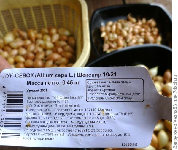 Лук-севок Шекспир. Куплен в Леруа Мерлен