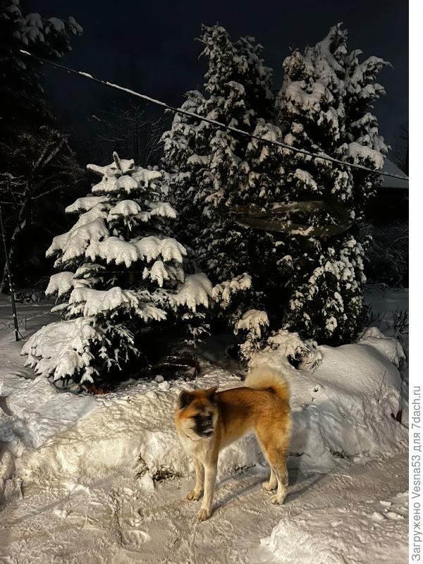 Вечер на даче