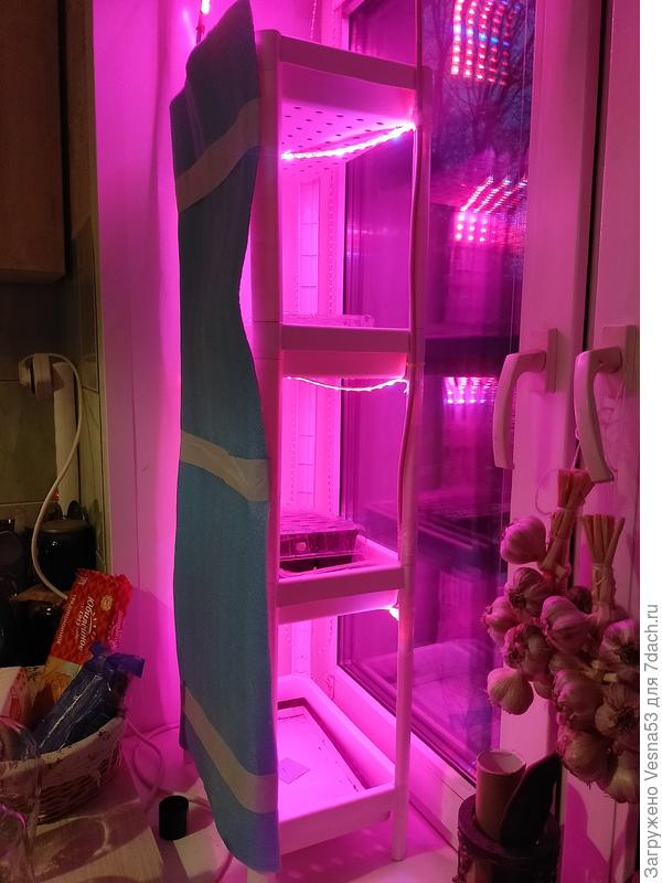 Моя этажерка с подсветкой