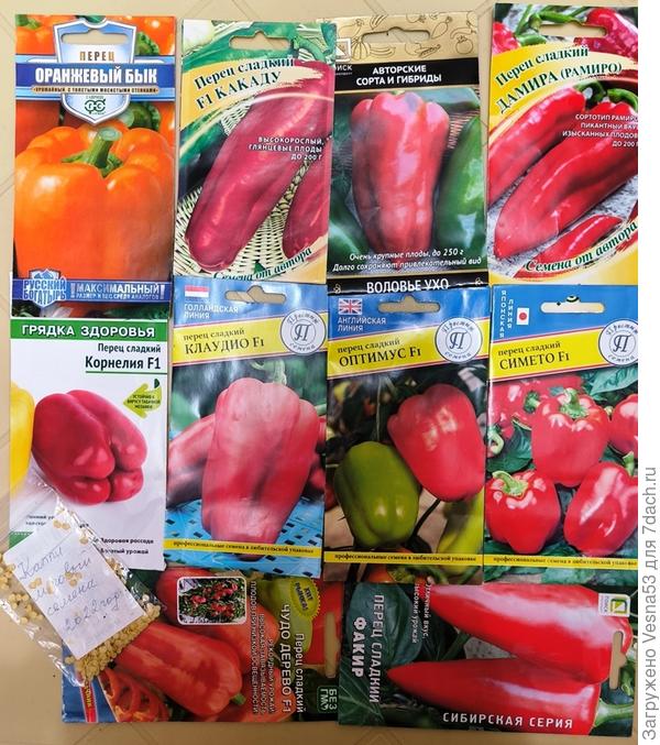 Моя подборка на 2026 год