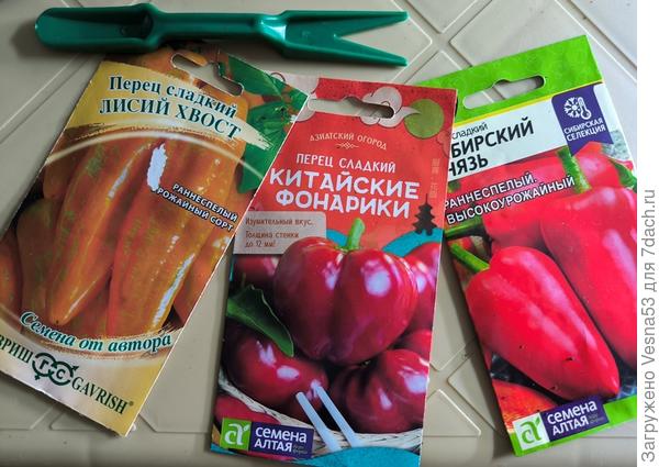 Дополнительная партия (третья! - зачем я это сделала?)