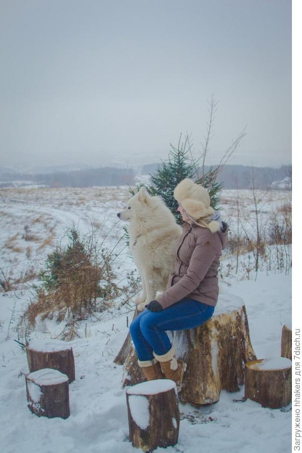 Мы из Снежного королевства