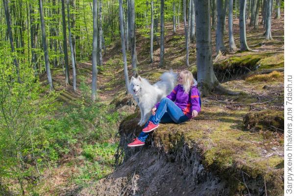 Обдумывает, как сигануть вниз в овраг