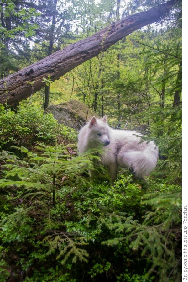 Взбираться на высоту очень важно. Вид лучше!