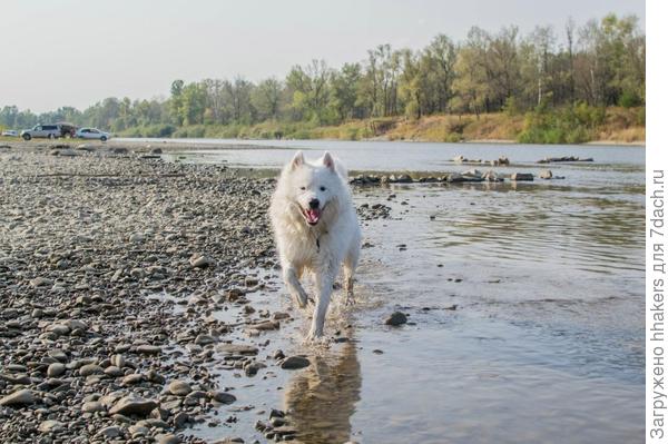 Бегать  по воде - это развлечение!