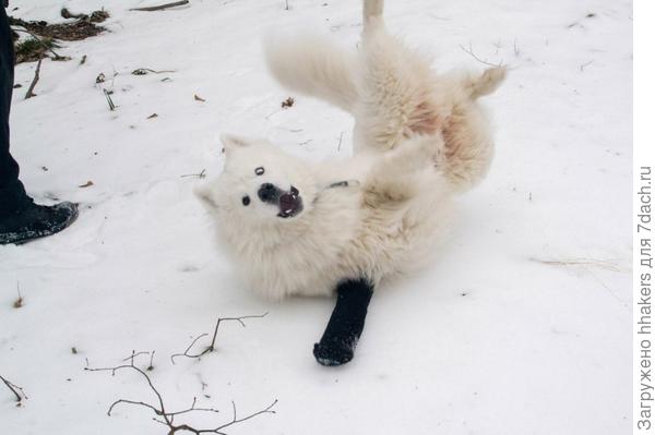 Очень рад снегу. Несказанно рад. Безумно, я бы сказала!