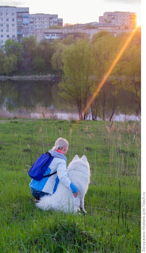 Мой волосатый друг