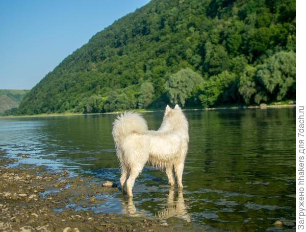 Любуется красотами Днестра